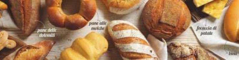 Profumo di pane trentino 2021 - Roccabruna