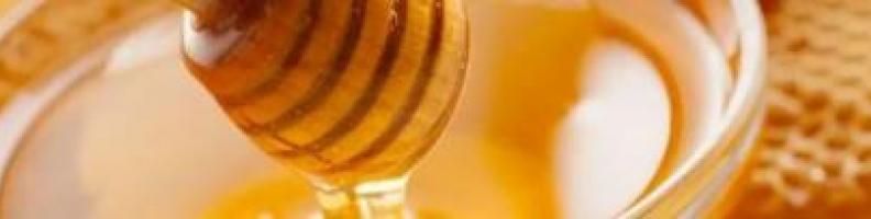 La valorizzazione del miele trentino - Roccabruna