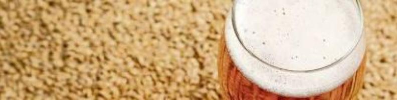 La birra sposa i sapori della tradizione - Roccabruna