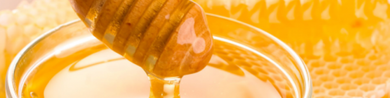 LABORATORIO - SAPORI DEL TRENTINO: INCONTRI DI MIELE, VINO E FORMAGGI - Roccabruna