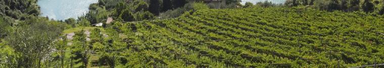 Territorio e climi - Roccabruna