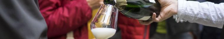 Enoteca provinciale del Trentino - Roccabruna
