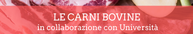 LE CARNI BOVINE - Accademia d'impresa LE CARNI BOVINE - Accademia d'impresa