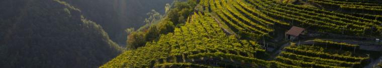 Roccabruna - Salone dei vini eroici in Valle d&#039;Aosta