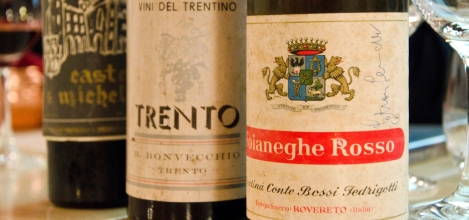 Bordolesi_trentini_2025