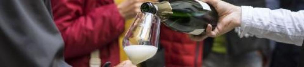 Enoteca: assapora i vini di montagna  - Roccabruna
