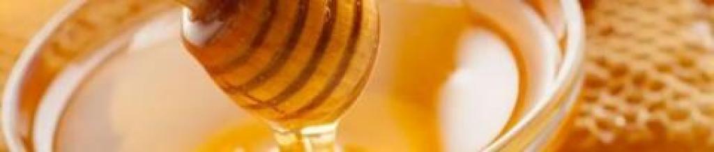 La valorizzazione del miele trentino - Roccabruna