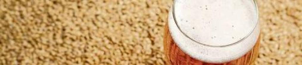 La birra sposa i sapori della tradizione - Roccabruna