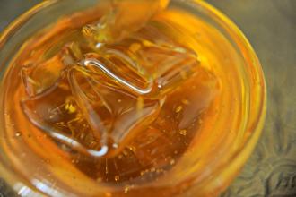 Seminario tecnico per apicoltori