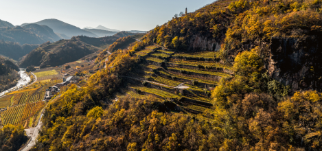 Valle_di_Cembra_terroir_trentino