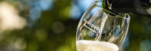 Trentodoc: la sostenibile leggerezza delle bollicine  - Roccabruna