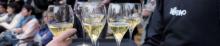 Trentodoc Festival | Trentodoc in Enoteca - Roccabruna