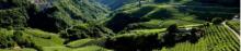 A tavola con la cucina di montagna: "Rifugio Silvio Agostini" - Rassegna "Vini di montagna 2023" - Roccabruna