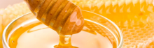 LABORATORIO - SAPORI DEL TRENTINO: INCONTRI DI MIELE, VINO E FORMAGGI - Roccabruna
