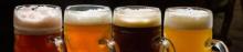 Le birre trentine - Roccabruna