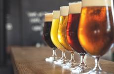 Beer Tasting Trentino 2026