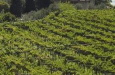 Territorio e climi - Roccabruna