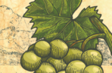 I VINI DI MONTAGNA - Roccabruna