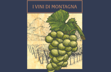 Vini di montagna