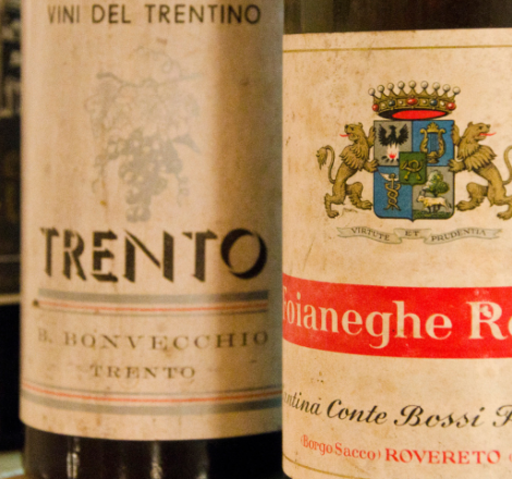 Bordolesi trentini 2025