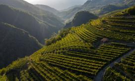 [site:name] - [node:title]