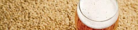 La birra sposa i sapori della tradizione - Roccabruna