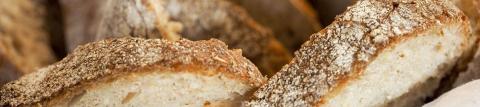 Profumo di pane 2023 - Roccabruna