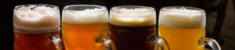 Le birre trentine - Roccabruna